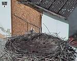 Capi_Dubne_20250829_120503.jpg