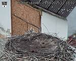 Capi_Dubne_20250829_121002.jpg