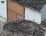 Capi_Dubne_20250829_121503.jpg