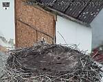Capi_Dubne_20250829_122502.jpg