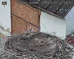 Capi_Dubne_20250829_125003.jpg