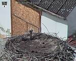 Capi_Dubne_20250829_131503.jpg