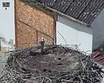 Capi_Dubne_20250829_133002.jpg