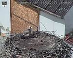 Capi_Dubne_20250829_134003.jpg
