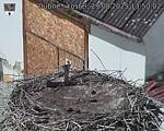 Capi_Dubne_20250829_135002.jpg