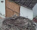 Capi_Dubne_20250829_135503.jpg