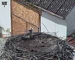 Capi_Dubne_20250829_140503.jpg
