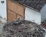 Capi_Dubne_20250829_141002.jpg