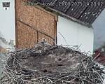 Capi_Dubne_20250829_142002.jpg
