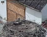 Capi_Dubne_20250829_150003.jpg