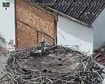 Capi_Dubne_20250829_151002.jpg