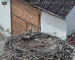 Capi_Dubne_20250829_151504.jpg