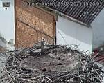 Capi_Dubne_20250829_152003.jpg
