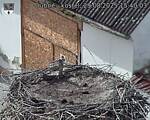 Capi_Dubne_20250829_154003.jpg