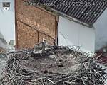 Capi_Dubne_20250829_154503.jpg