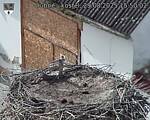 Capi_Dubne_20250829_155002.jpg