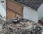 Capi_Dubne_20250829_161003.jpg
