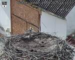 Capi_Dubne_20250829_161503.jpg