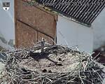 Capi_Dubne_20250829_163503.jpg