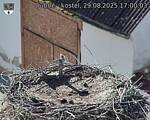 Capi_Dubne_20250829_170003.jpg