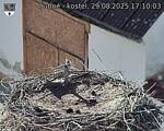 Capi_Dubne_20250829_171003.jpg