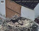 Capi_Dubne_20250829_171503.jpg