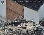 Capi_Dubne_20250829_172003.jpg