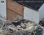 Capi_Dubne_20250829_172503.jpg