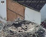 Capi_Dubne_20250829_173003.jpg