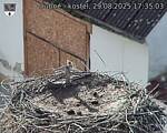 Capi_Dubne_20250829_173503.jpg