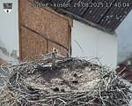 Capi_Dubne_20250829_174004.jpg