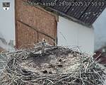 Capi_Dubne_20250829_175003.jpg