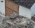 Capi_Dubne_20250829_175503.jpg