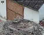 Capi_Dubne_20250829_180004.jpg