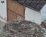 Capi_Dubne_20250829_181503.jpg