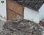 Capi_Dubne_20250829_182004.jpg