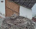Capi_Dubne_20250829_184003.jpg