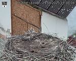 Capi_Dubne_20250829_190004.jpg