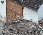 Capi_Dubne_20250829_193003.jpg