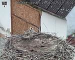 Capi_Dubne_20250829_193502.jpg