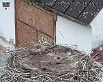 Capi_Dubne_20250829_194503.jpg