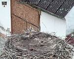 Capi_Dubne_20250829_195002.jpg