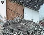 Capi_Dubne_20250829_195502.jpg