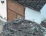 Capi_Dubne_20250829_200003.jpg