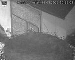 Capi_Dubne_20250829_202503.jpg