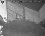 Capi_Dubne_20250829_204002.jpg