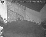 Capi_Dubne_20250829_214502.jpg