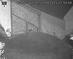 Capi_Dubne_20250829_215004.jpg