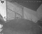 Capi_Dubne_20250829_222003.jpg
