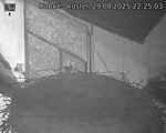 Capi_Dubne_20250829_222503.jpg
